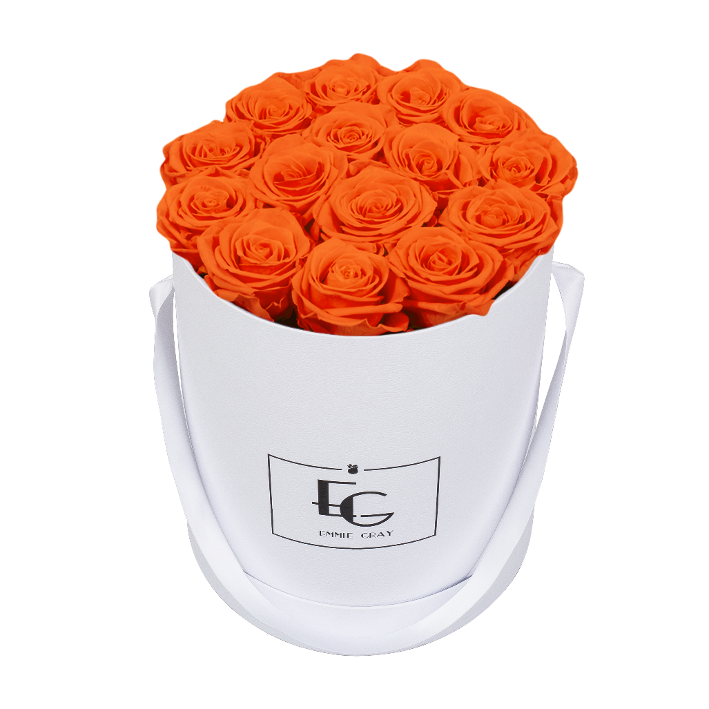 CLASSIC INFINITY ROSEBOX | ORANGE FLAME | M