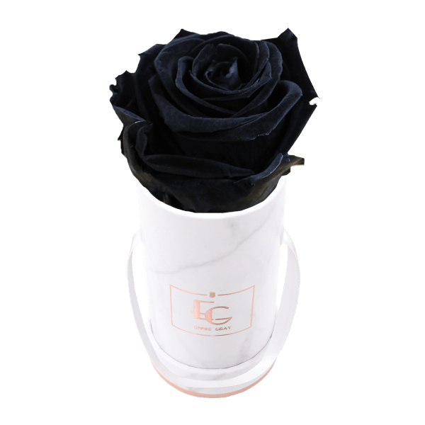 Classic Infinity Rosebox | Black Beauty | XXS