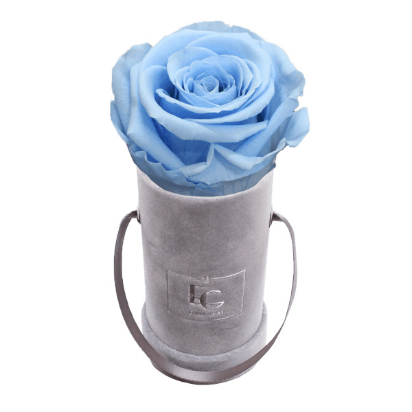 CLASSIC INFINITY ROSEBOX | BABY BLUE | XXS