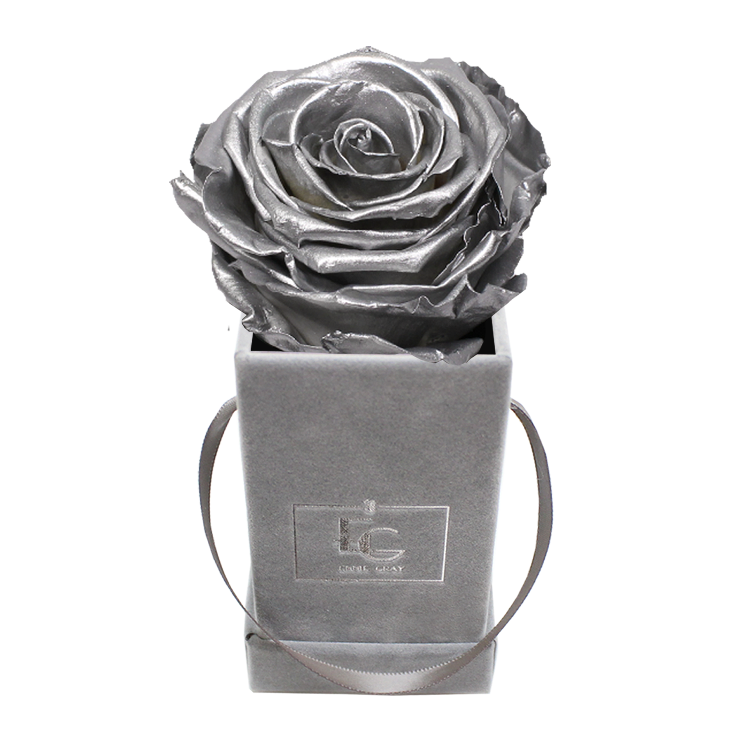 CLASSIC INFINITY ROSEBOX | SILVER | XXS