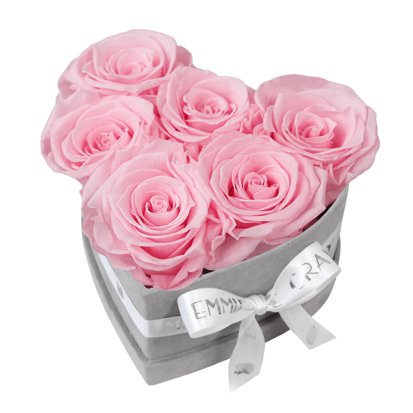 Classic Infinity Rosebox | Bridal Pink | S