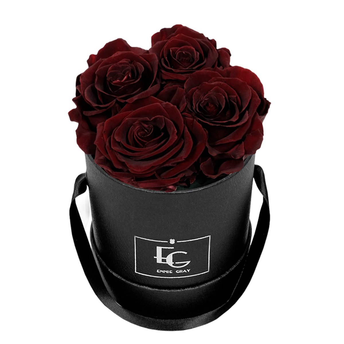 CLASSIC INFINITY ROSEBOX | BURGUNDY | XS