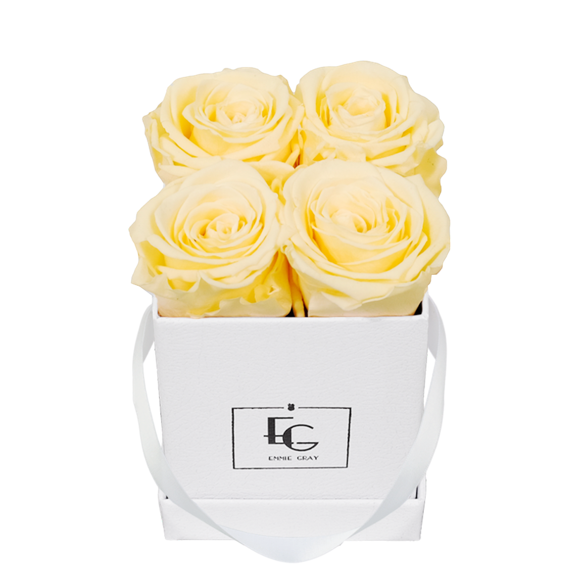 CLASSIC INFINITY ROSEBOX | CHAMPAGNE | XS