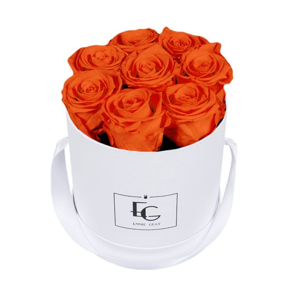 CLASSIC INFINITY ROSEBOX | ORANGE FLAME | S