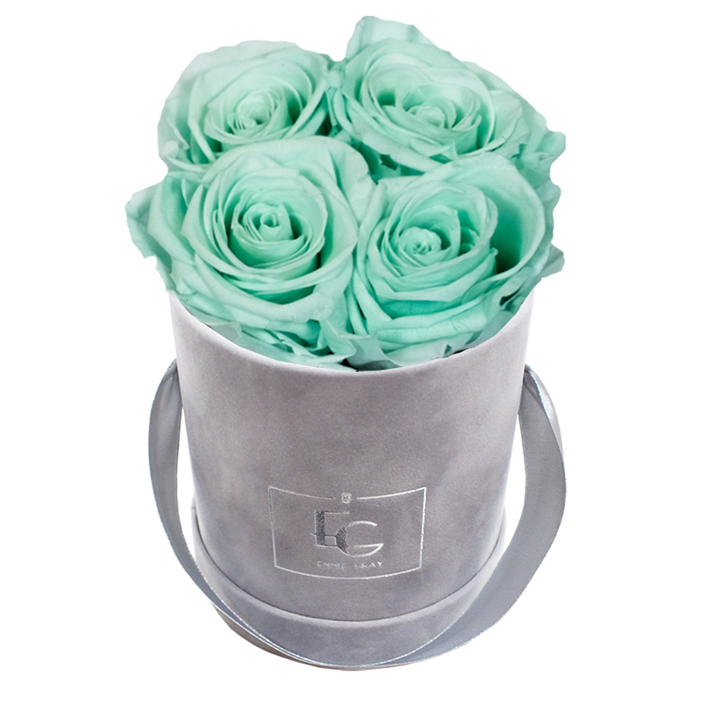 CLASSIC INFINITY ROSEBOX | MINTY GREEN | XS