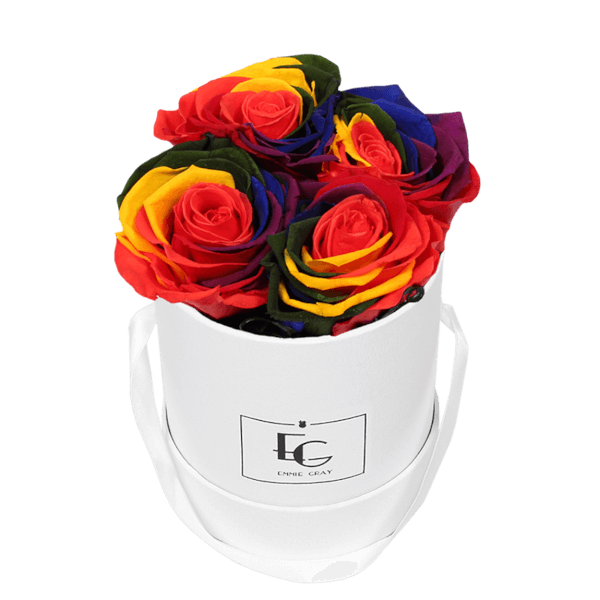 CLASSIC INFINITY ROSEBOX | RAINBOW | XS