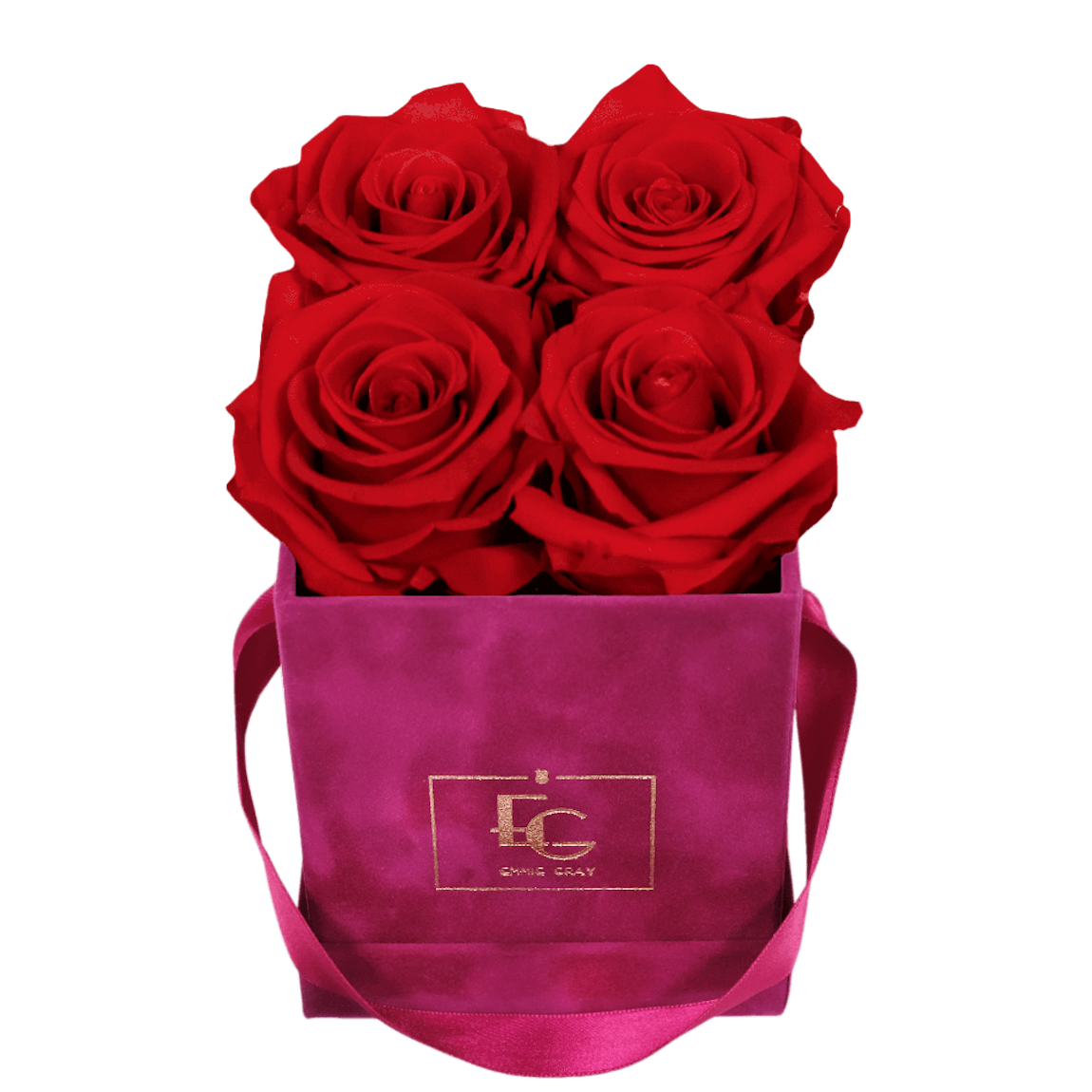 CLASSIC INFINITY ROSEBOX | VIBRANT RED | XS