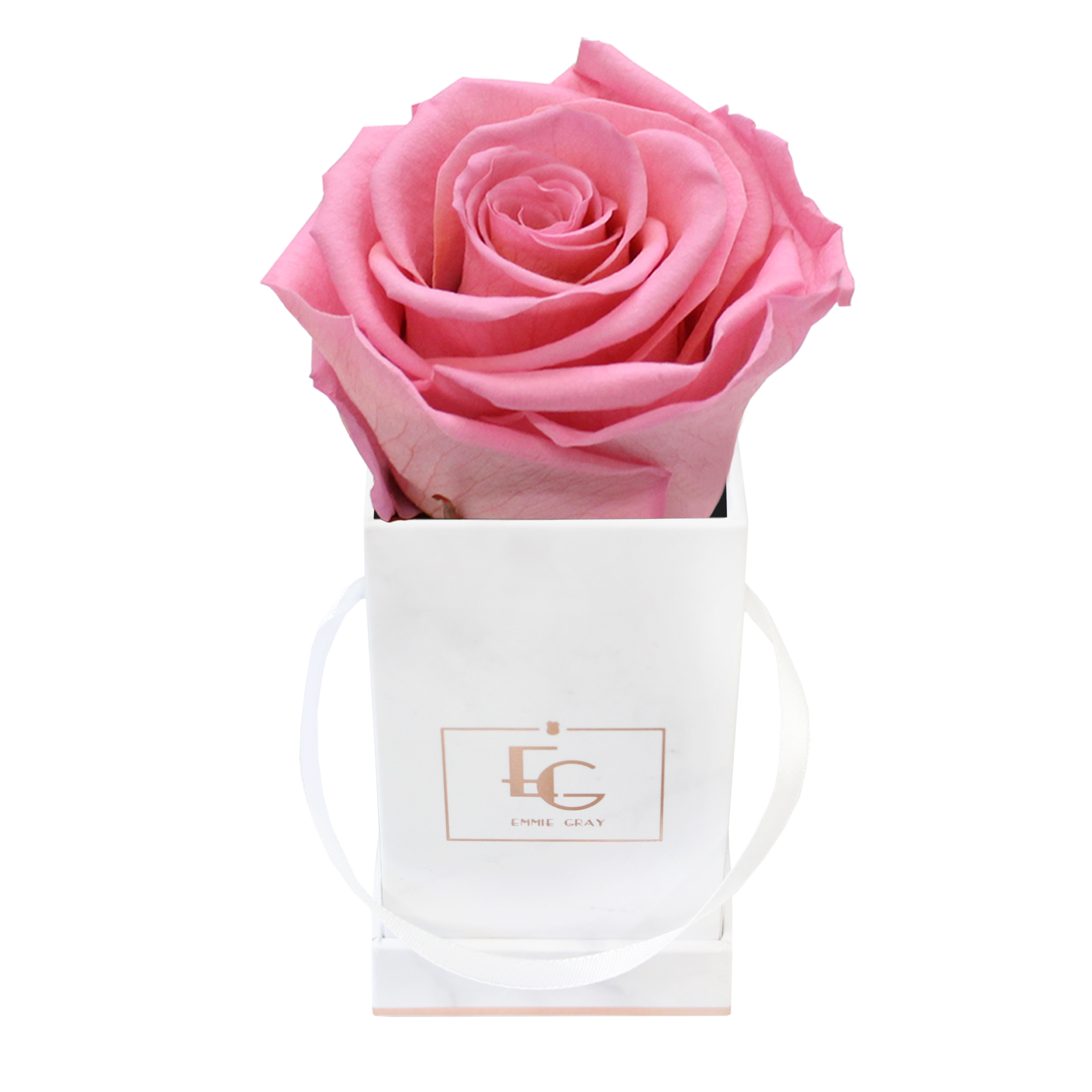 Classic Infinity Rosebox | Baby Pink | XXS