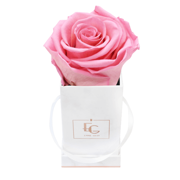 Classic Infinity Rosebox | Bridal Pink | XXS