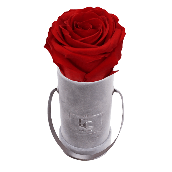 CLASSIC INFINITY ROSEBOX | VIBRANT RED | XXS