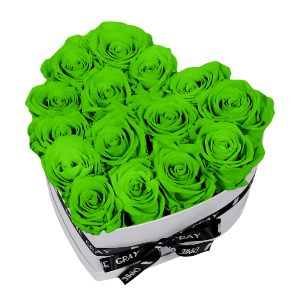 CLASSIC INFINITY ROSEBOX | GREEN GLOW | M