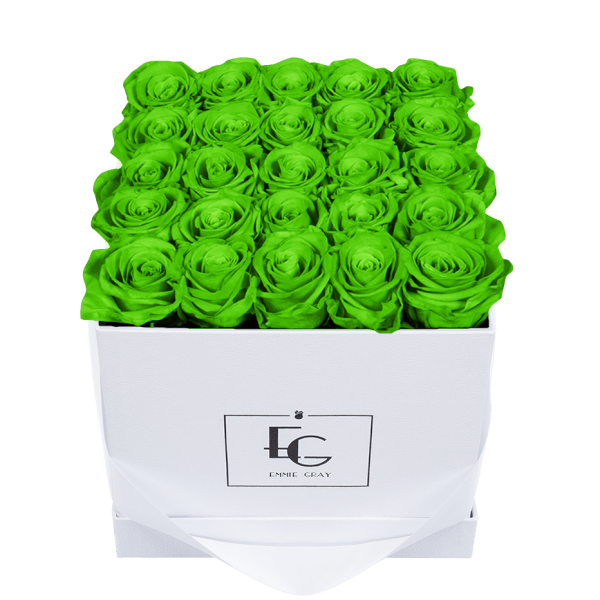 CLASSIC INFINITY ROSEBOX | GREEN GLOW | M