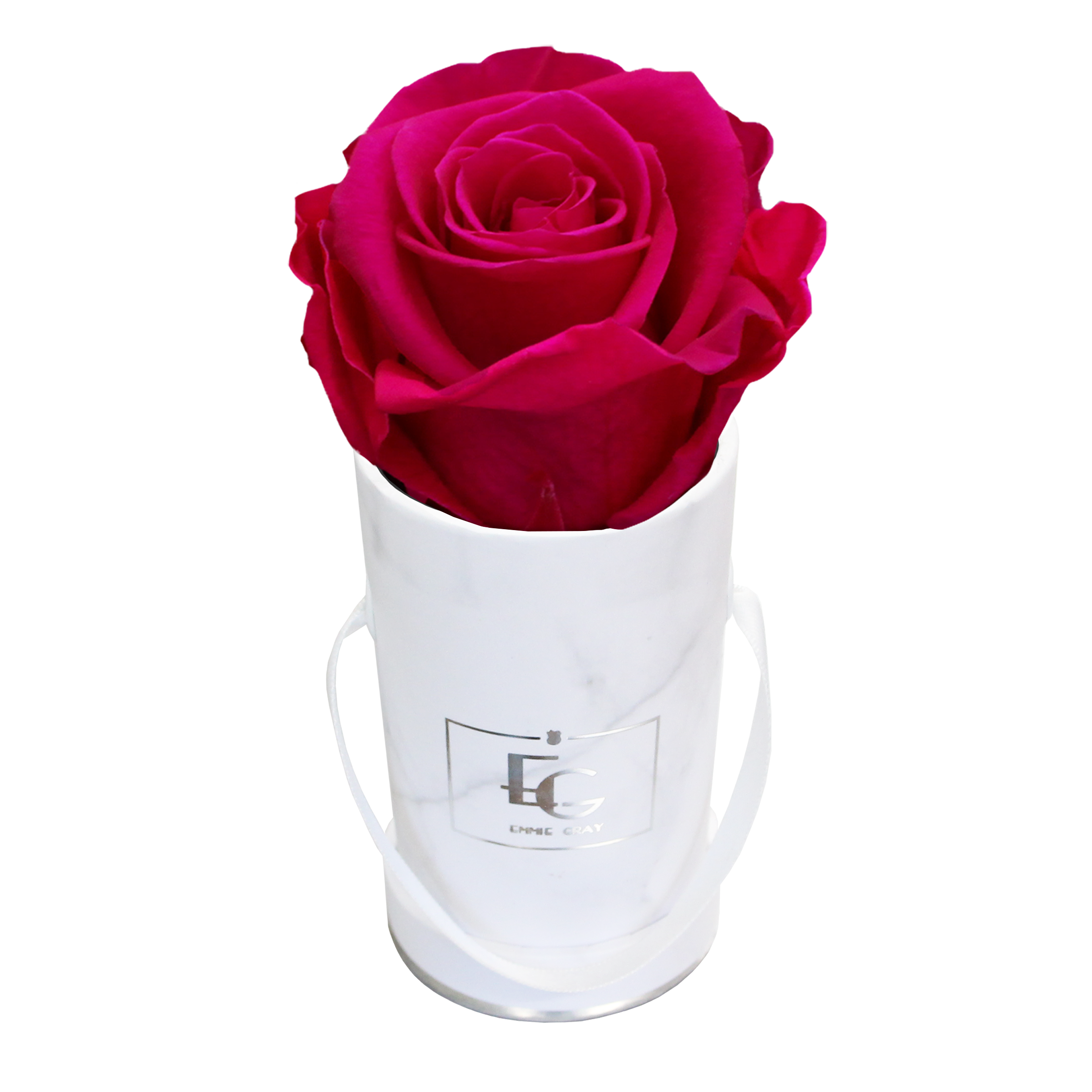 CLASSIC INFINITY ROSEBOX | HOT PINK | XXS