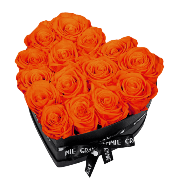 CLASSIC INFINITY ROSEBOX | ORANGE FLAME | M