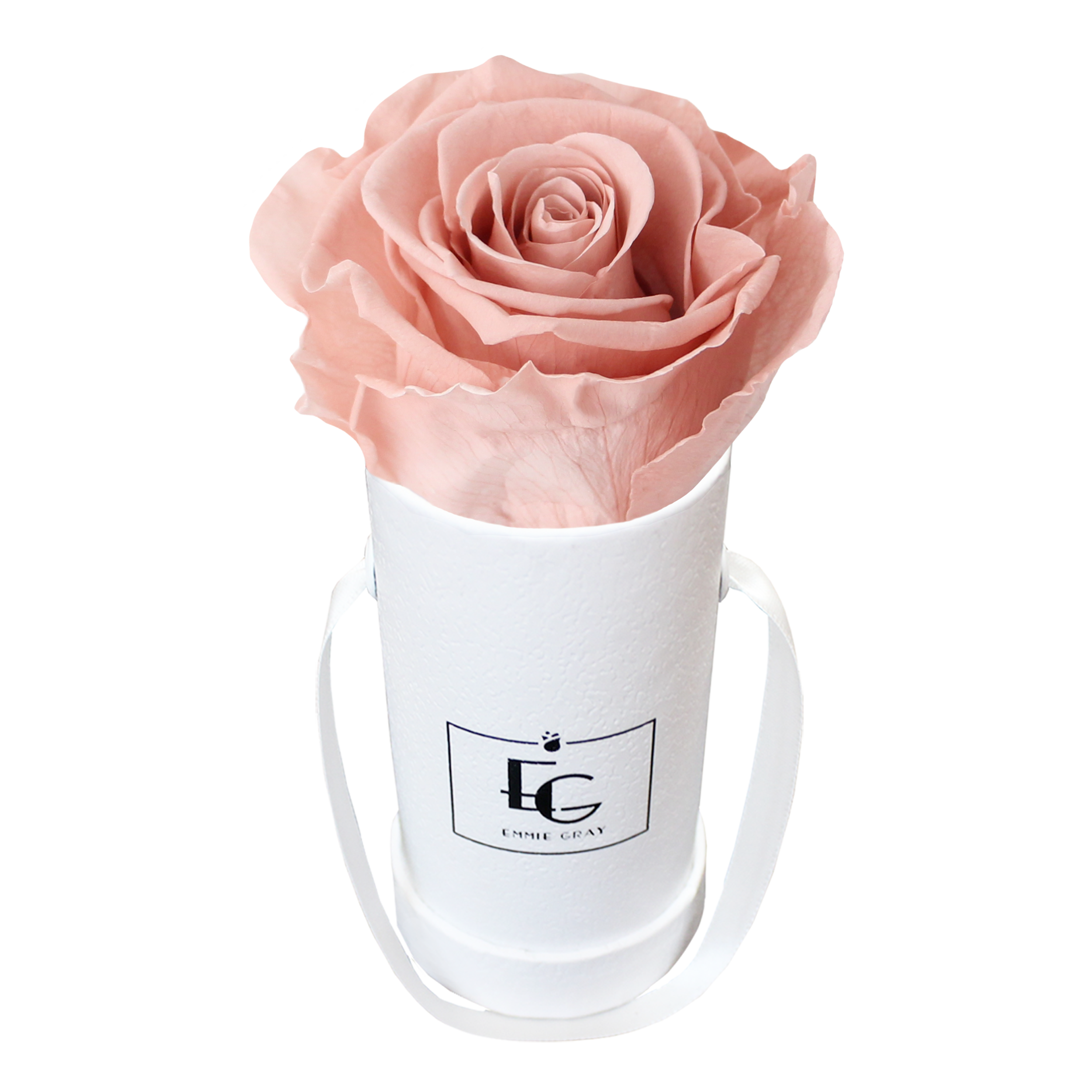 Classic Infinity Rosebox | Antique Pink | XXS