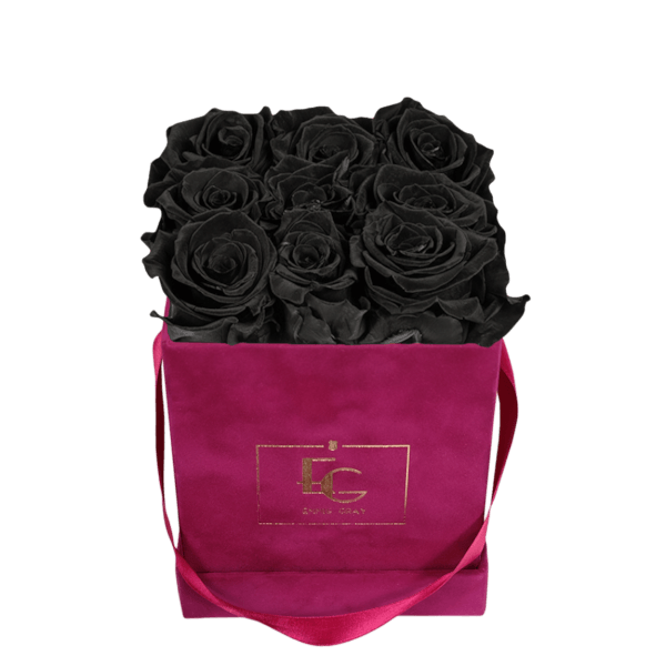 CLASSIC INFINITY ROSEBOX | BLACK BEAUTY | S