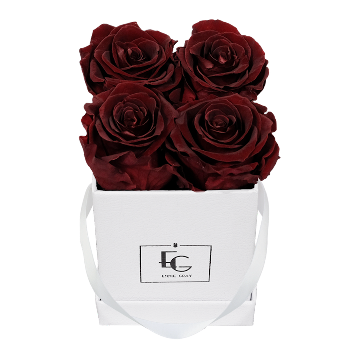 CLASSIC INFINITY ROSEBOX | BURGUNDY | XS