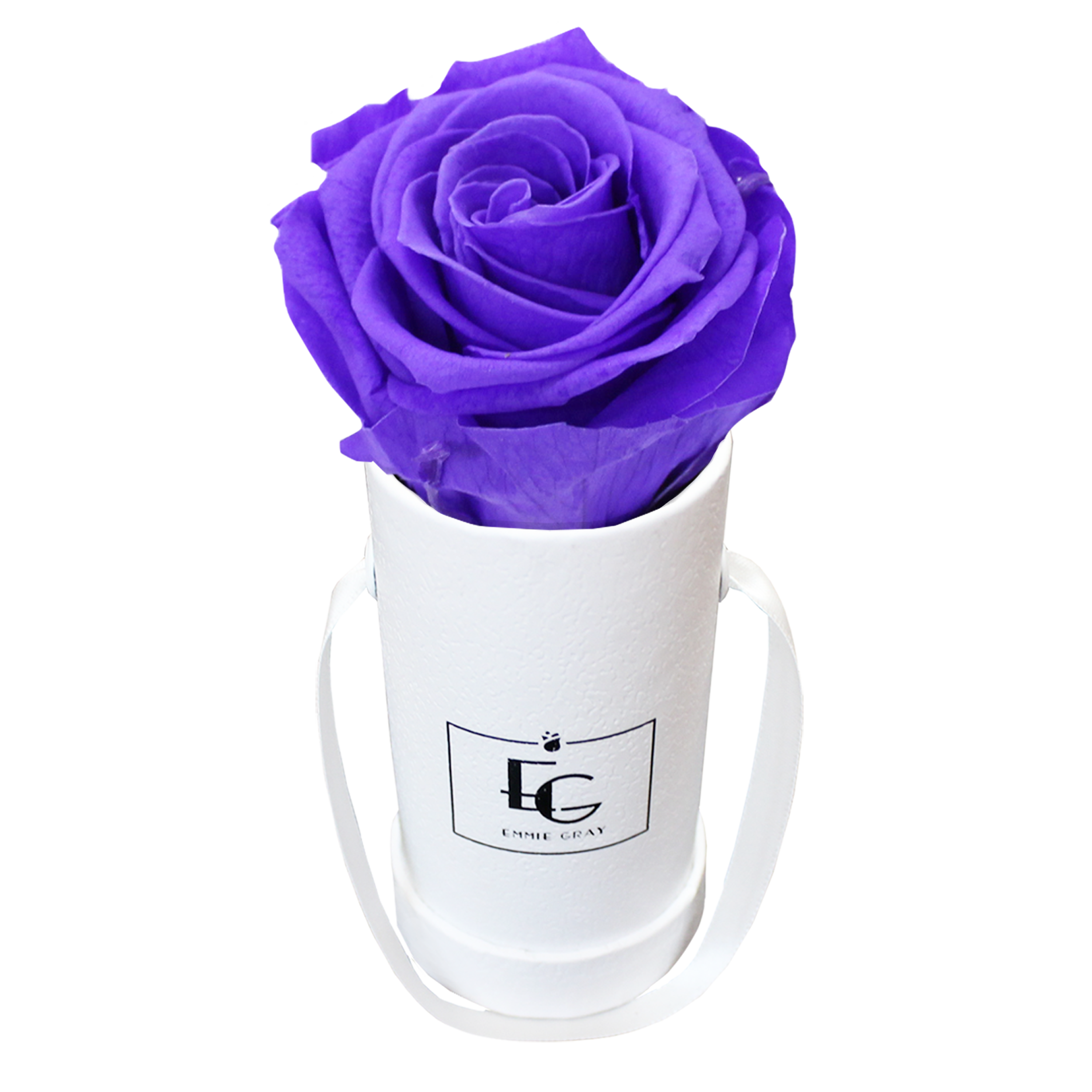 CLASSIC INFINITY ROSEBOX | VIOLET VAIN | XXS CLASSIC INFINITY ROSEBOX | VIOLET VAIN | XXS