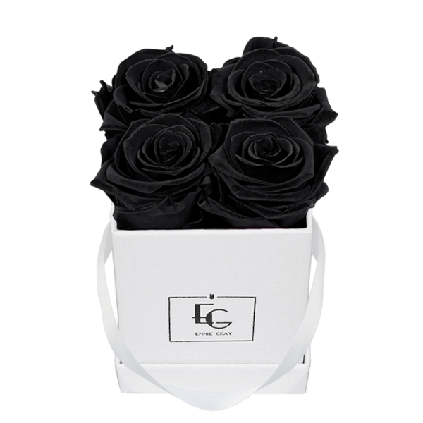 CLASSIC INFINITY ROSEBOX | BLACK BEAUTY | XS