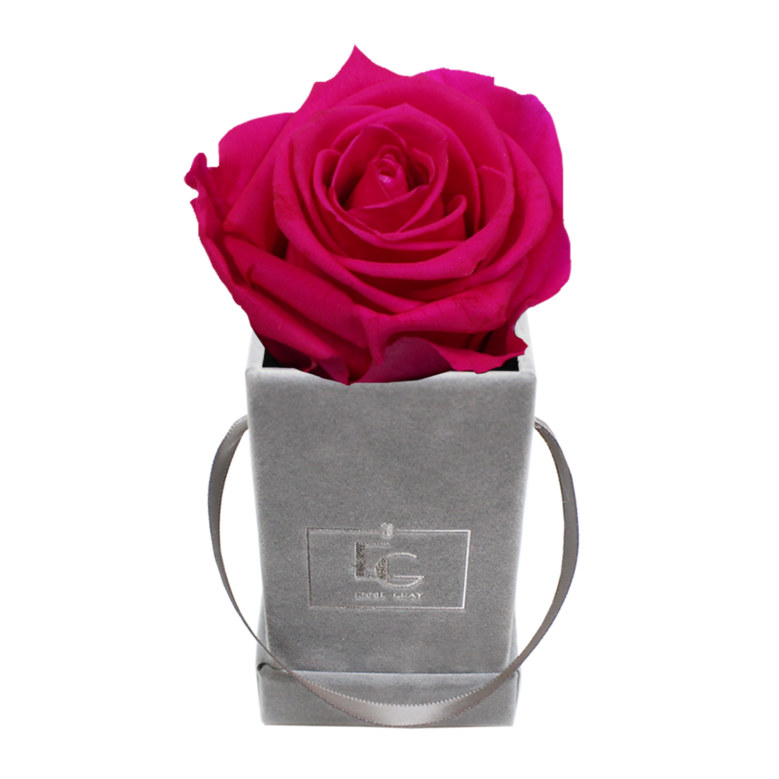 CLASSIC INFINITY ROSEBOX | HOT PINK | XXS