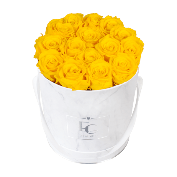 CLASSIC INFINITY ROSEBOX | SUNNY YELLOW | M