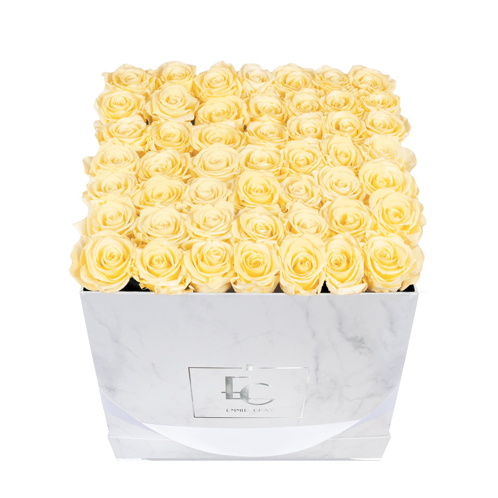 Classic Infinity Rosebox | Champagne | L