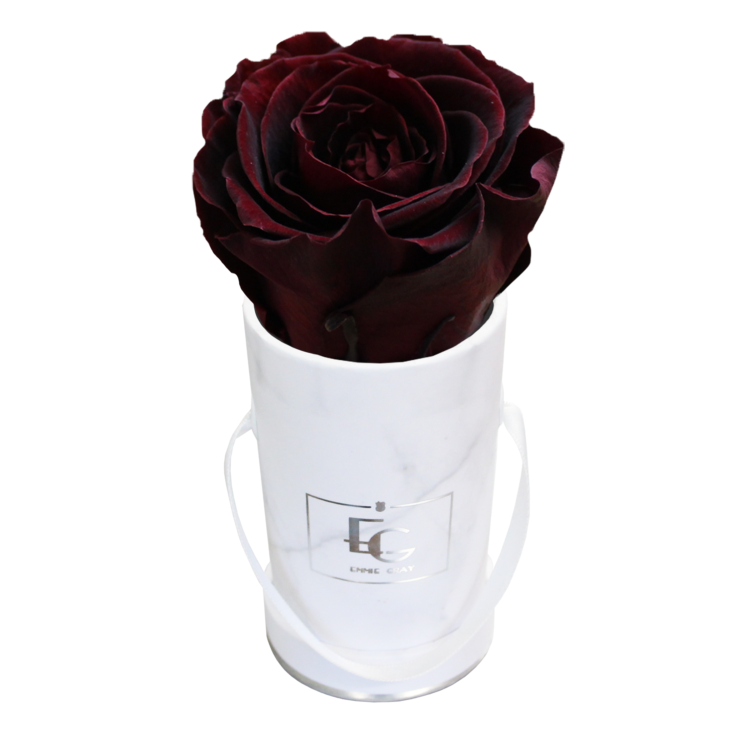 CLASSIC INFINITY ROSEBOX | BURGUNDY | XXS