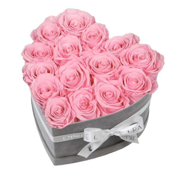 Classic Infinity Rosebox | Bridal Pink | M