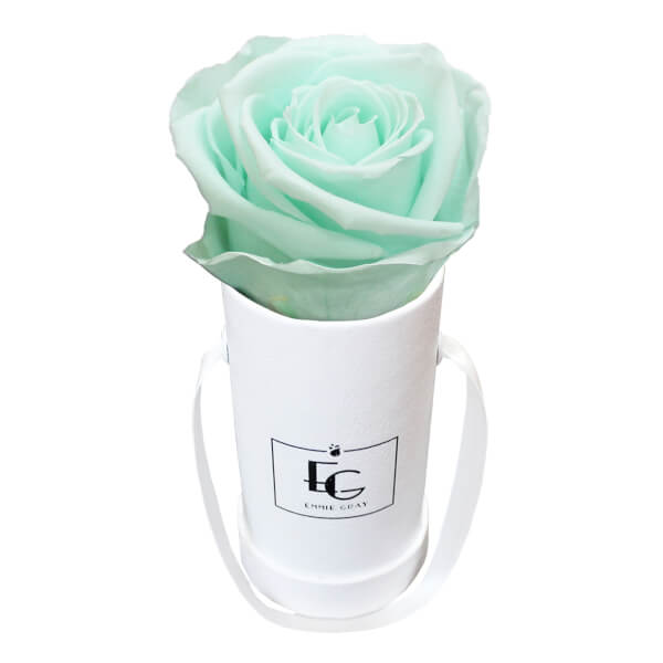 CLASSIC INFINITY ROSEBOX | MINTY GREEN | XXS