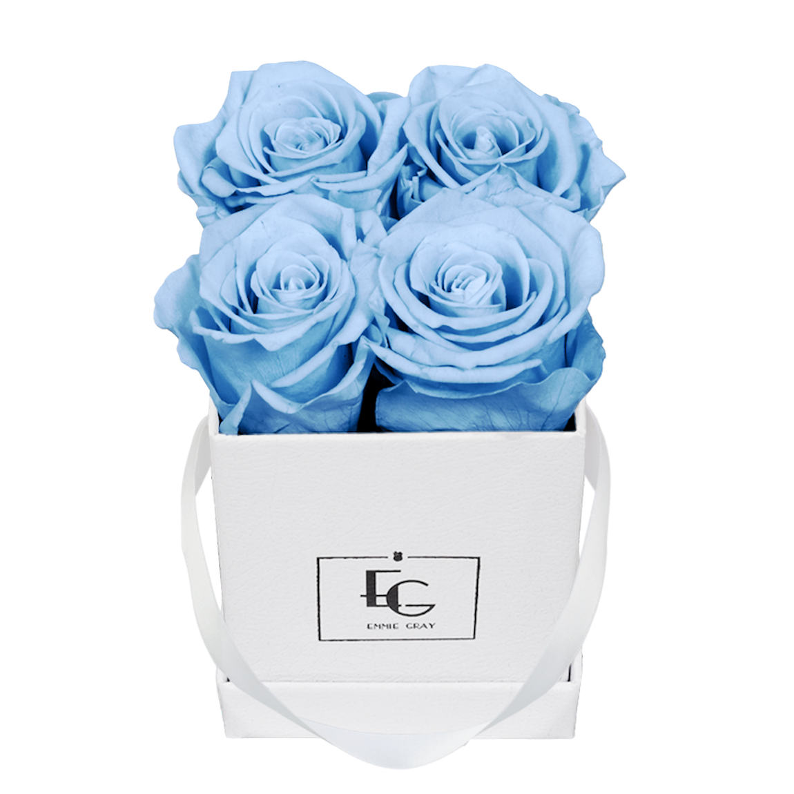 CLASSIC INFINITY ROSEBOX | BABY BLUE | XS CLASSIC INFINITY ROSEBOX | BABY BLUE | XS