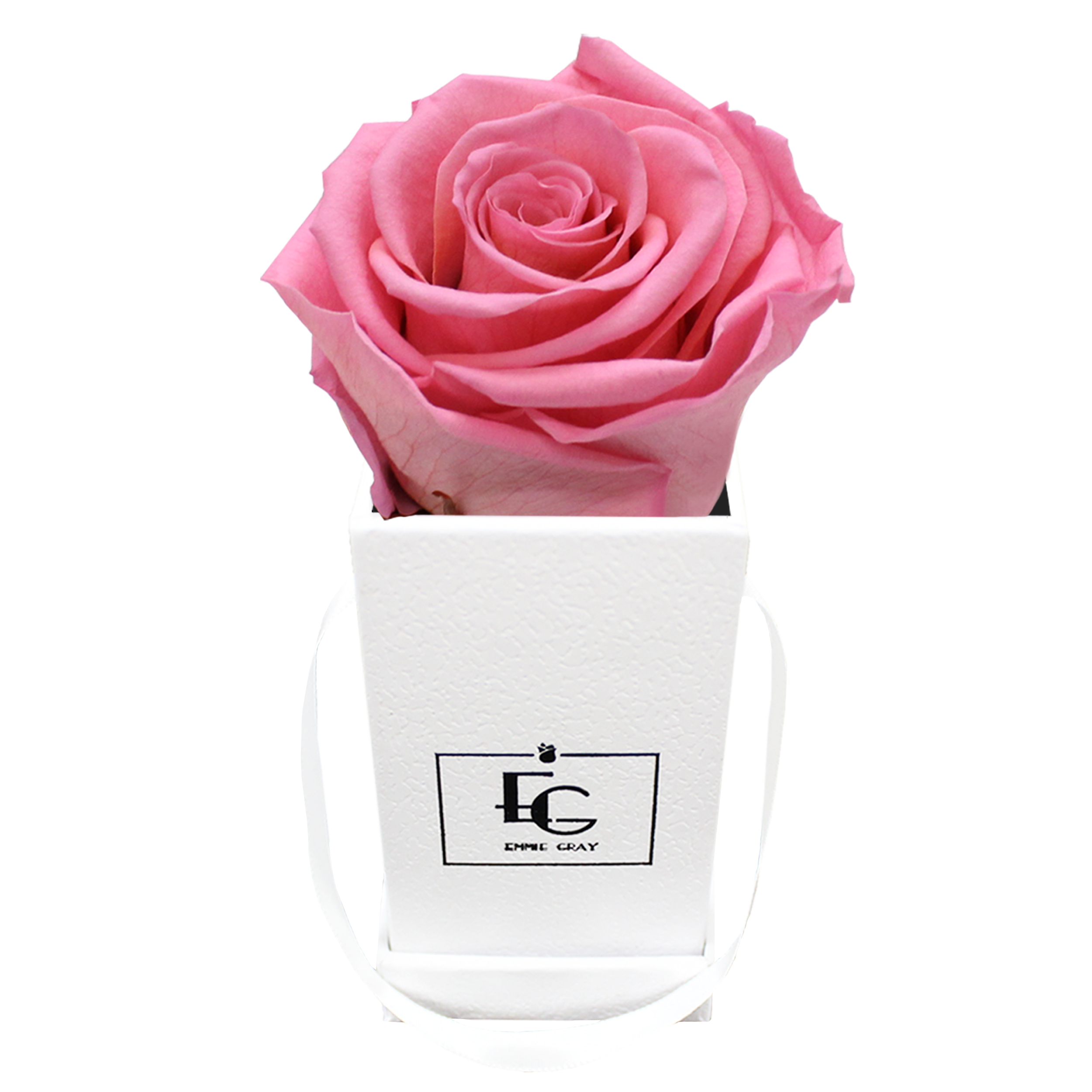 CLASSIC INFINITY ROSEBOX | BABY PINK | XXS