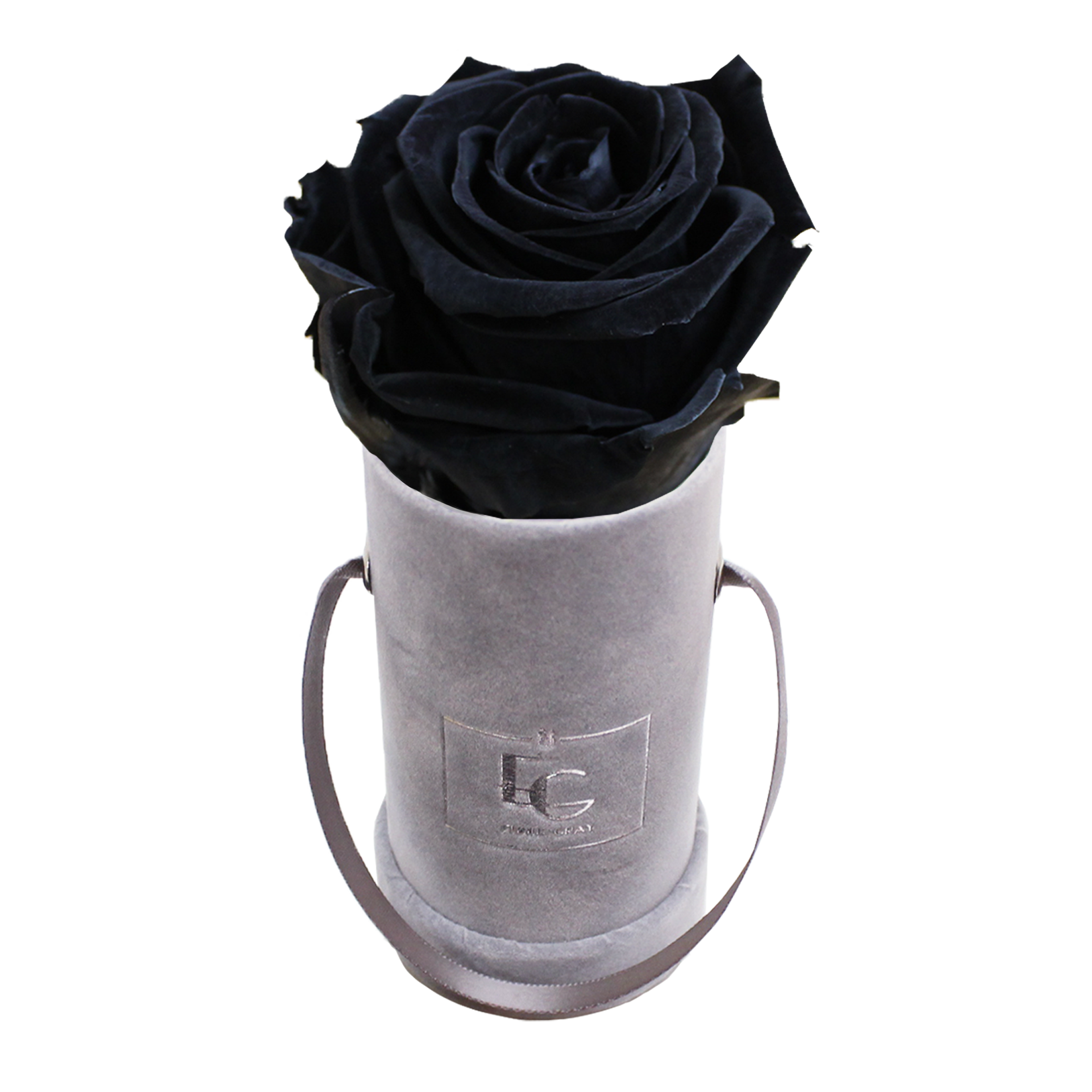 CLASSIC INFINITY ROSEBOX | BLACK BEAUTY | XXS