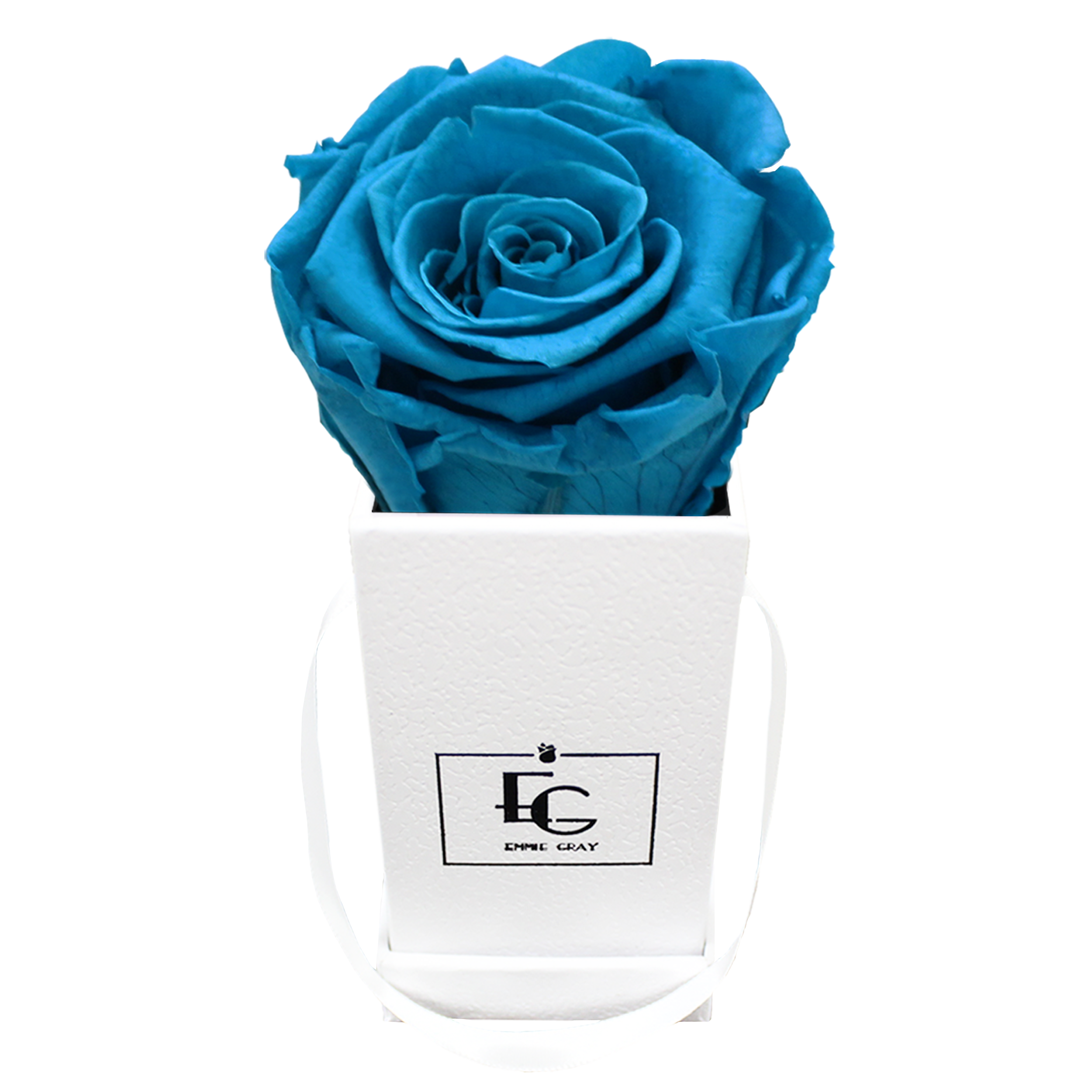 CLASSIC INFINITY ROSEBOX | AQUAMARINE | XXS