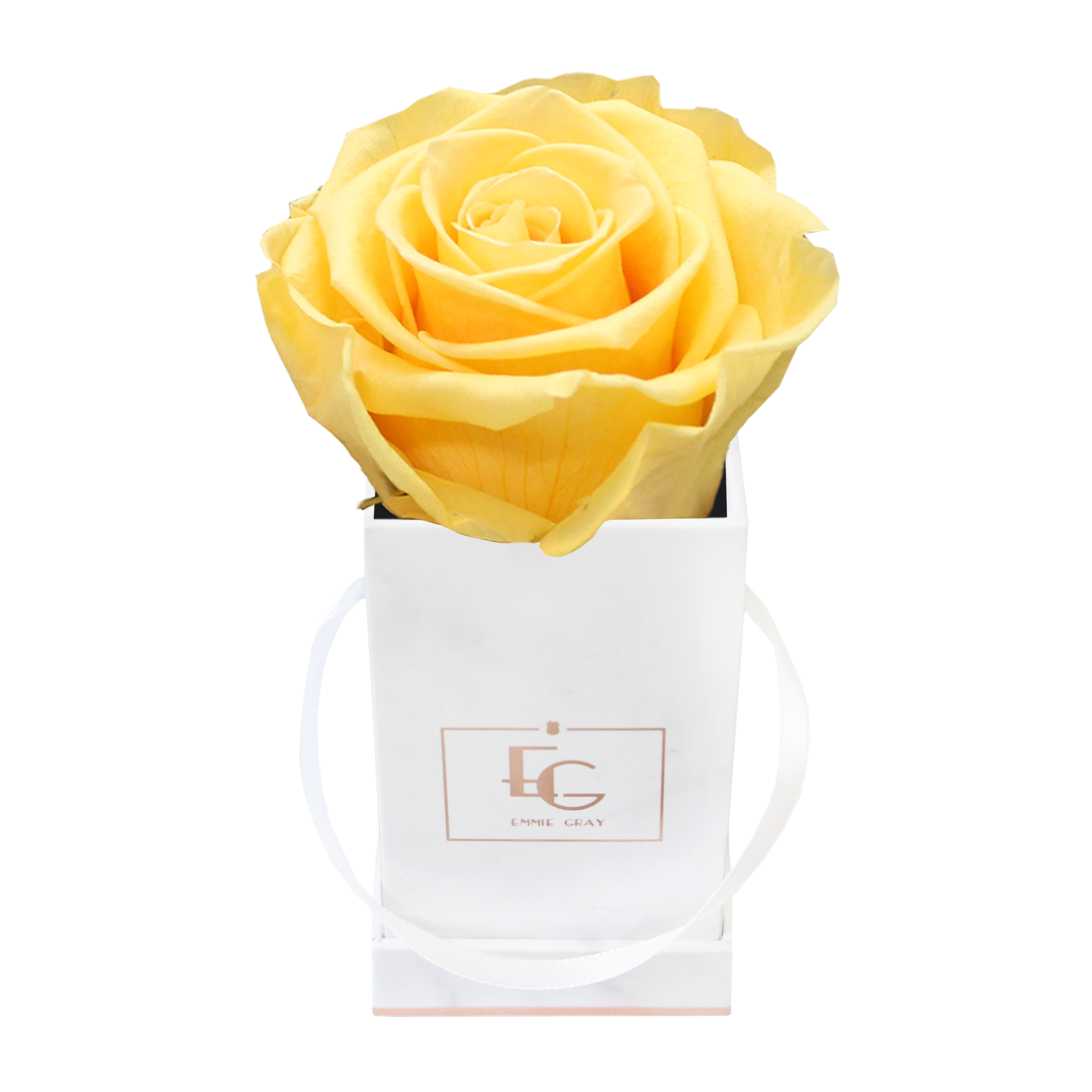 Classic Infinity Rosebox | Perfect Peach | XXS