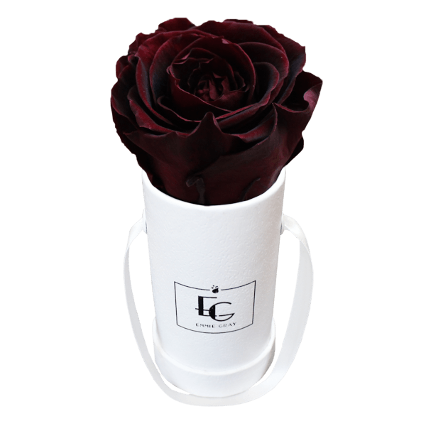 CLASSIC INFINITY ROSEBOX | BURGUNDY | XXS