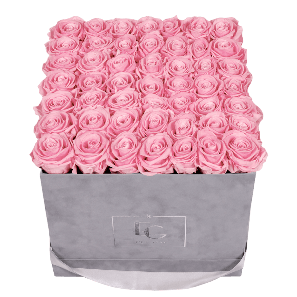 CLASSIC INFINITY ROSEBOX | BRIDAL PINK | L