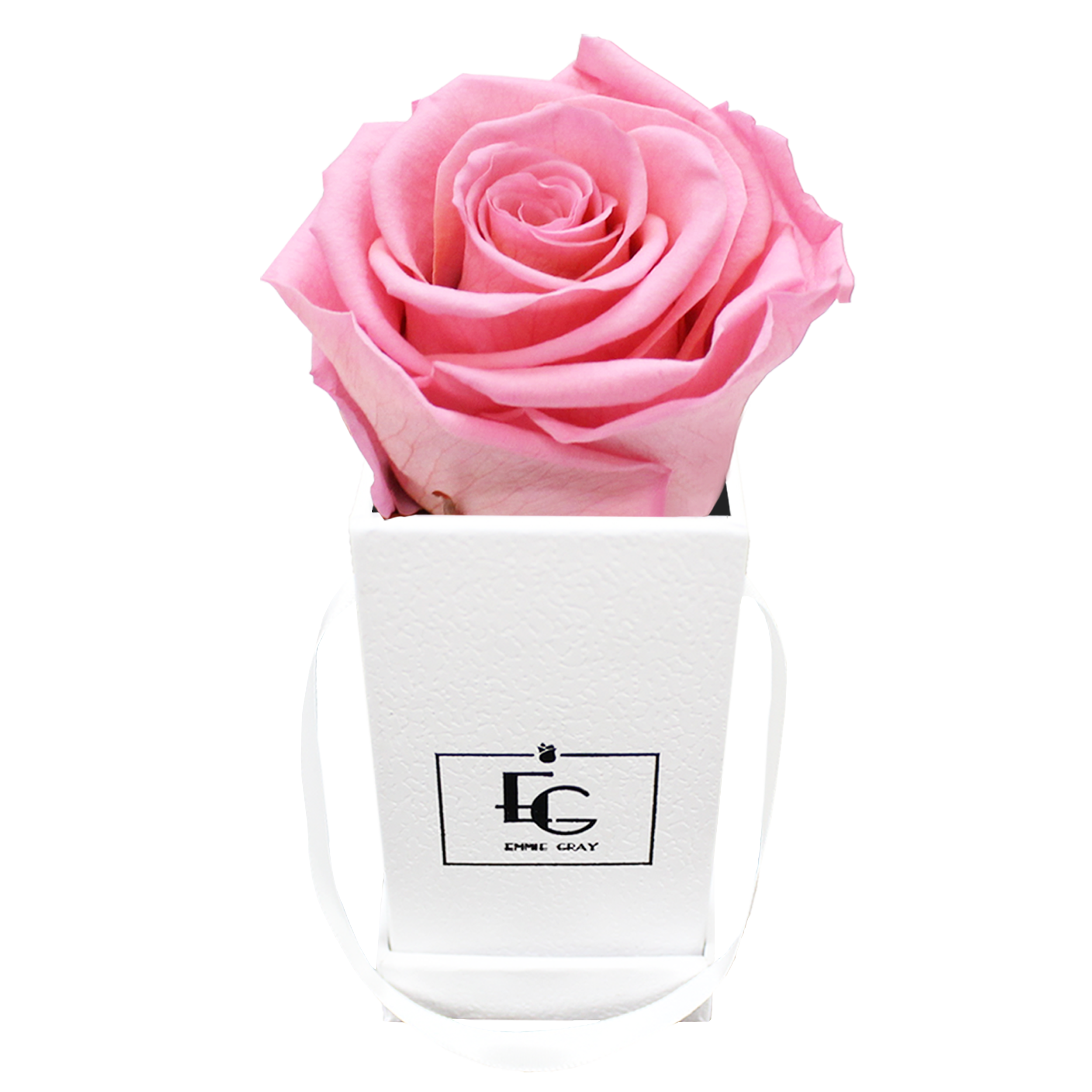 CLASSIC INFINITY ROSEBOX | BRIDAL PINK | XXS