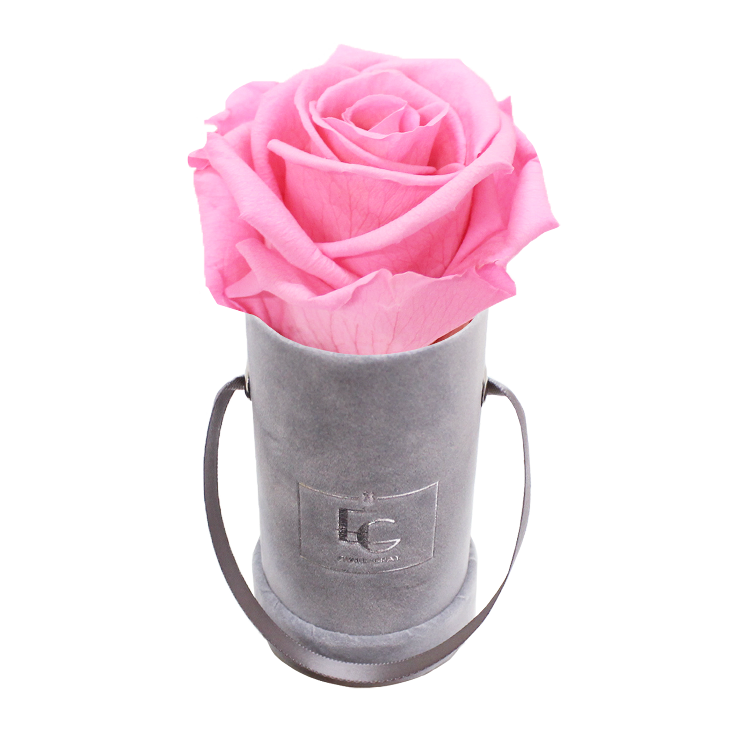 CLASSIC INFINITY ROSEBOX | BRIDAL PINK | XXS