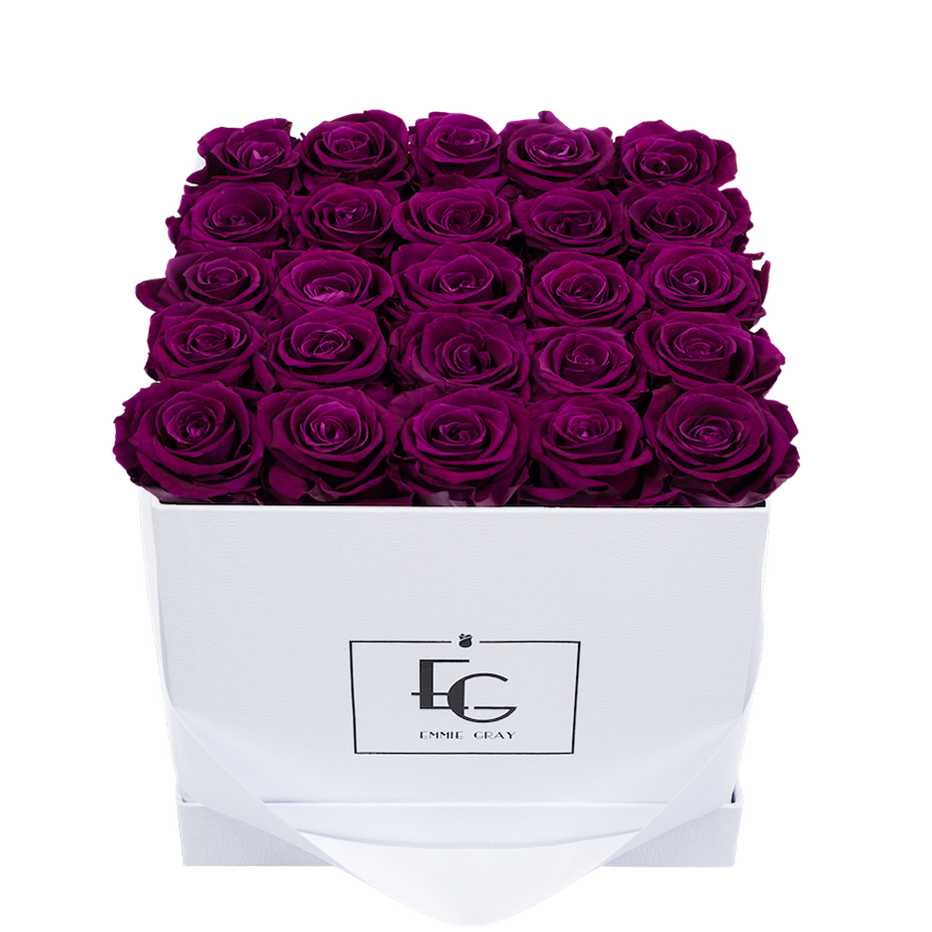CLASSIC INFINITY ROSEBOX | VELVET PLUM | M