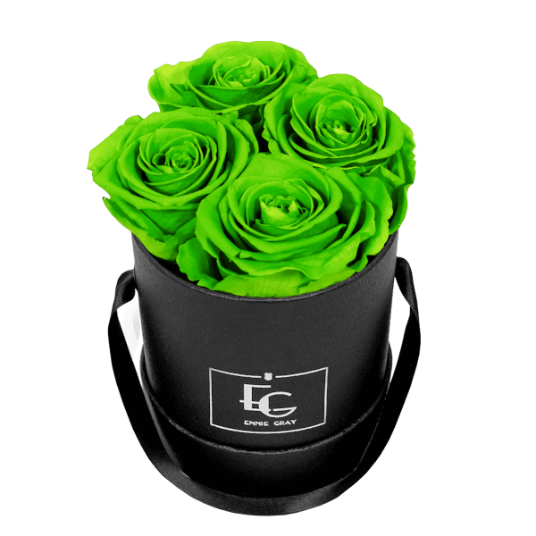 CLASSIC INFINITY ROSEBOX | GREEN GLOW | XS