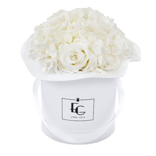 Splendid Hydrangea Infinity Rosebox | Pure White | S