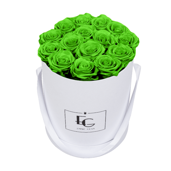 CLASSIC INFINITY ROSEBOX | GREEN GLOW | M