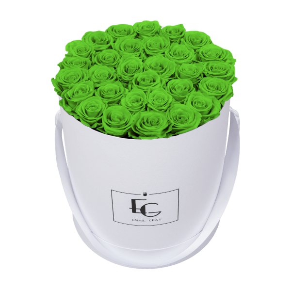 CLASSIC INFINITY ROSEBOX | GREEN GLOW | L