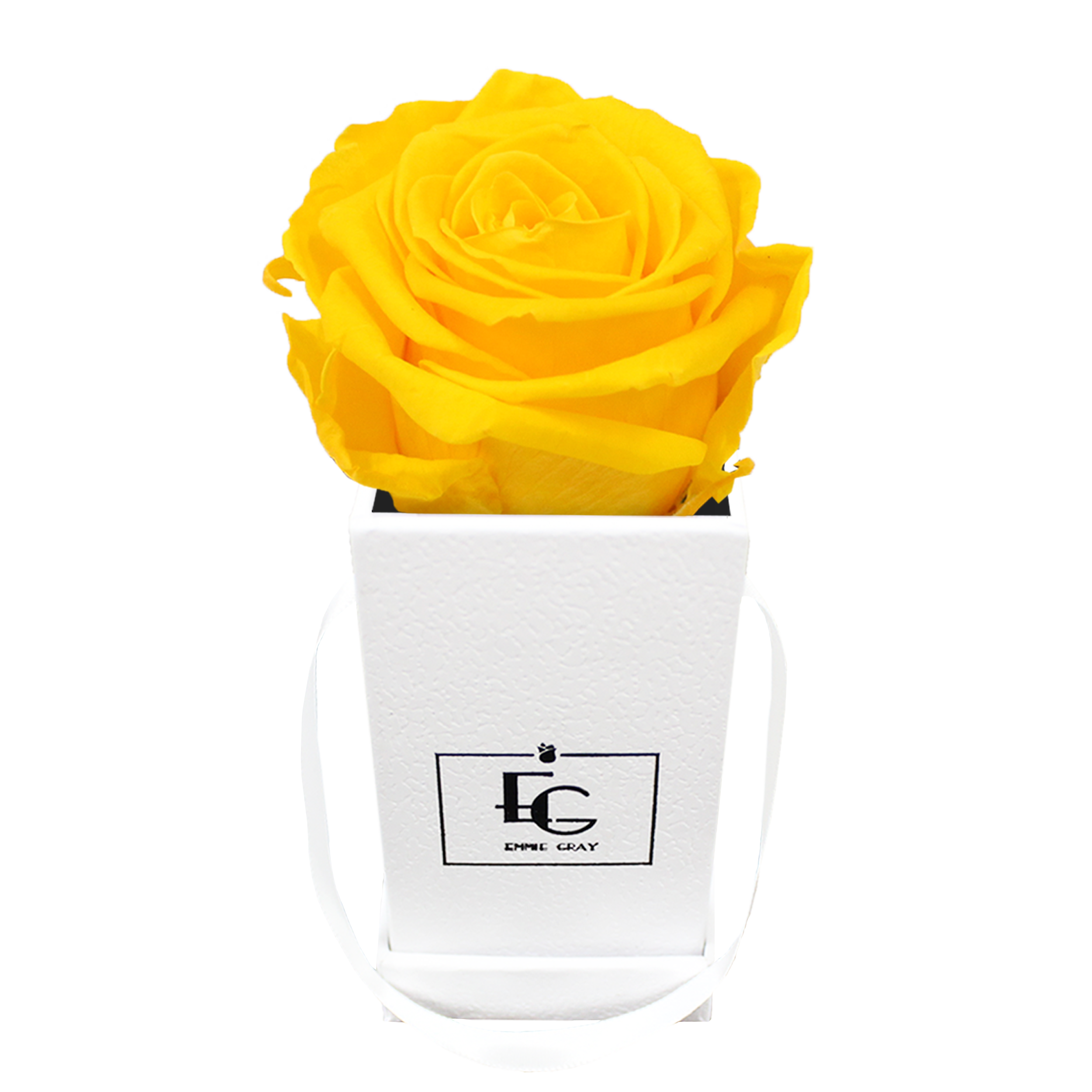 CLASSIC INFINITY ROSEBOX | SUNNY YELLOW | XXS