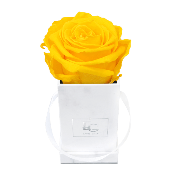 Classic Infinity Rosebox | Sunny Yellow | XXS