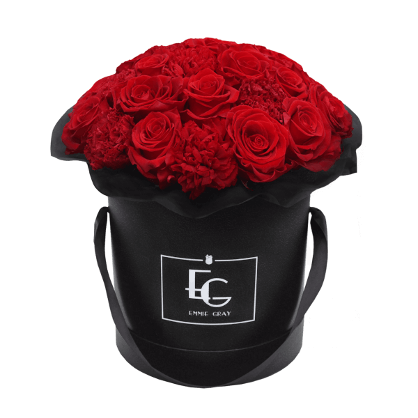 SPLENDID CARNATION INFINITY ROSEBOX | VIBRANT RED | M