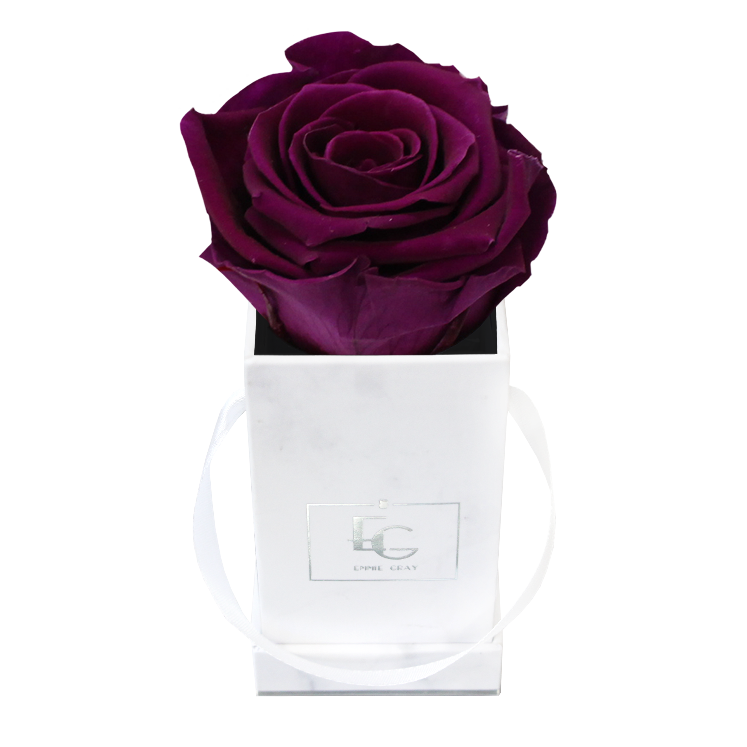 Classic Infinity Rosebox | Velvet Plum | XXS
