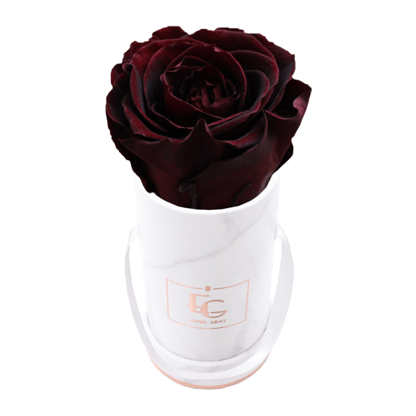 Classic Infinity Rosebox | Burgundy | XXS