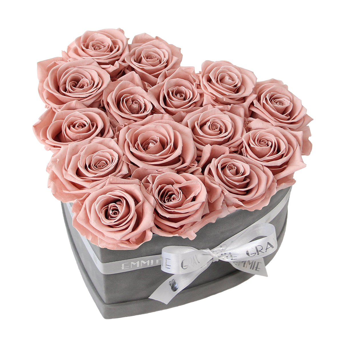 Classic Infinity Rosebox | Antique Pink | M