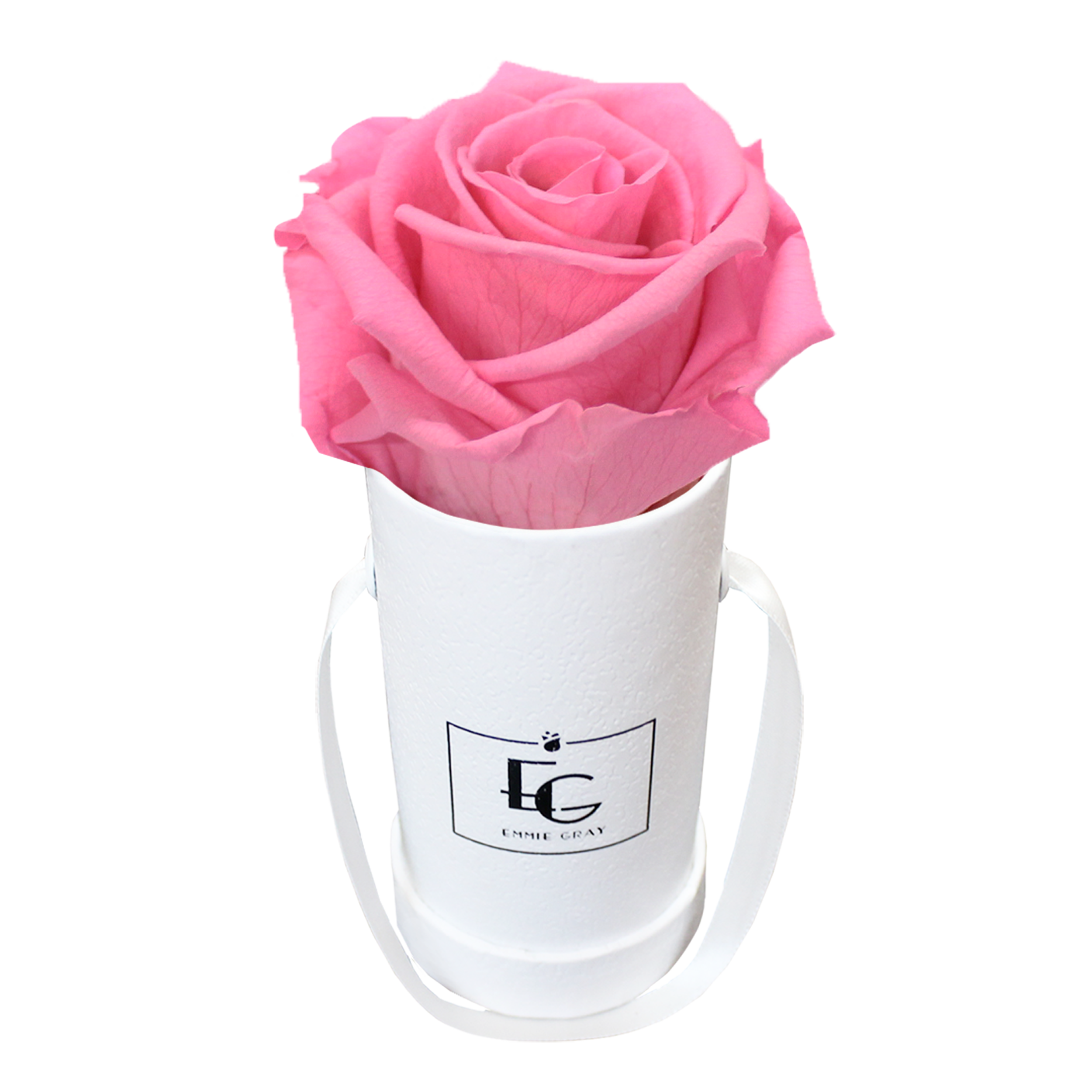 CLASSIC INFINITY ROSEBOX | BABY PINK | XXS